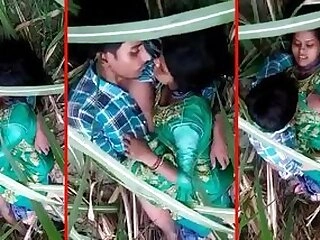 Desi horny wife gets outdoor sex! Caught